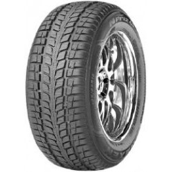 ROADSTONE N Priz 4 Seasons   205/55R16 91H (2018-2019)